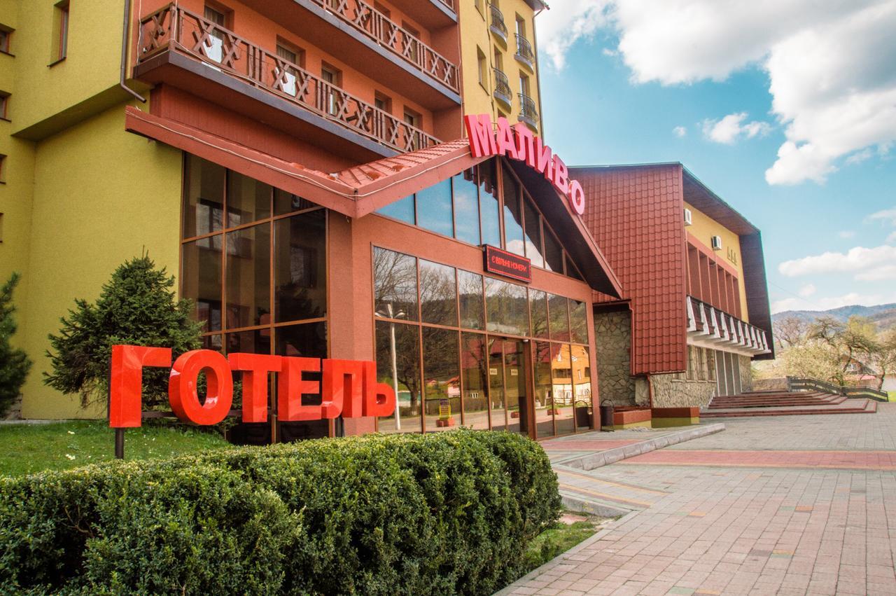 Malyvo Hotel Dilyatyn Exteriör bild